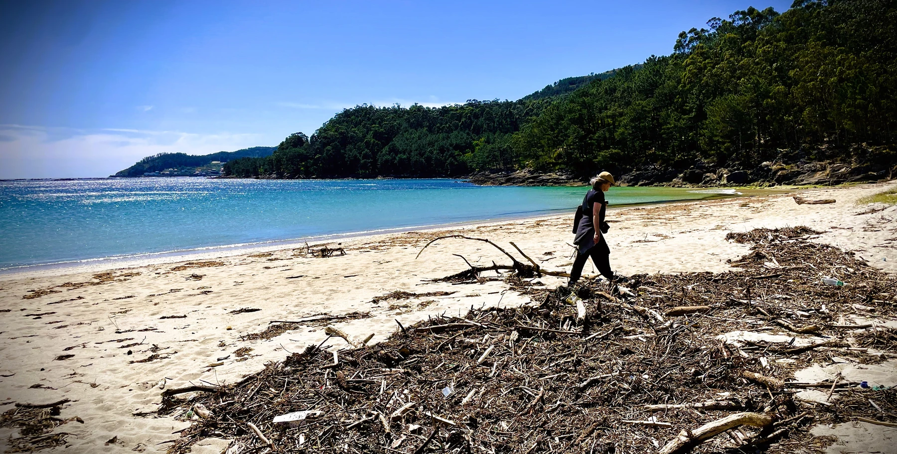 Recollida de crebas nunha praia