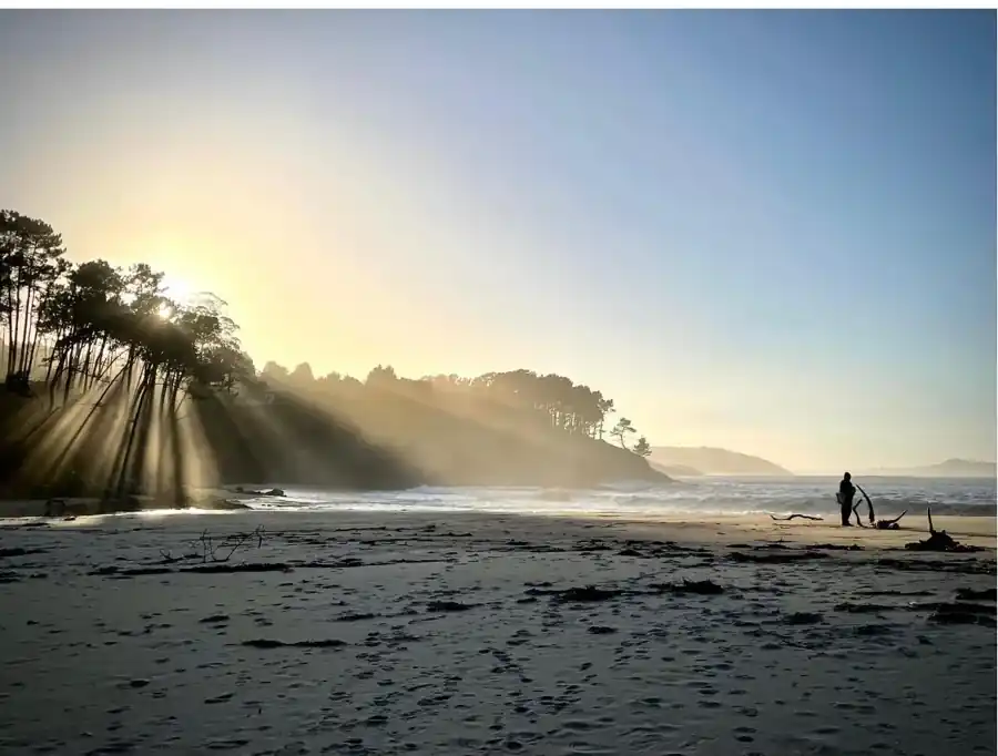 Praia galega ao amencer, con luz entre os piñeiros