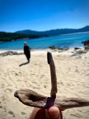 Peza de madeira de deriva recollida na praia